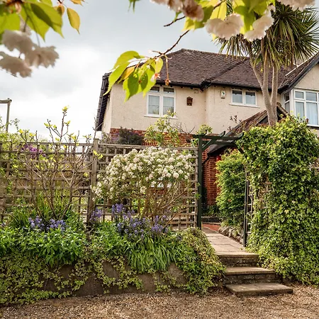 Avalon House B&B-2